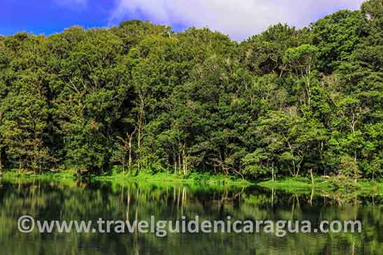 Selva Negra Nicaragua