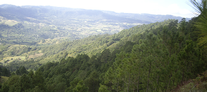 tomabu nature reserve